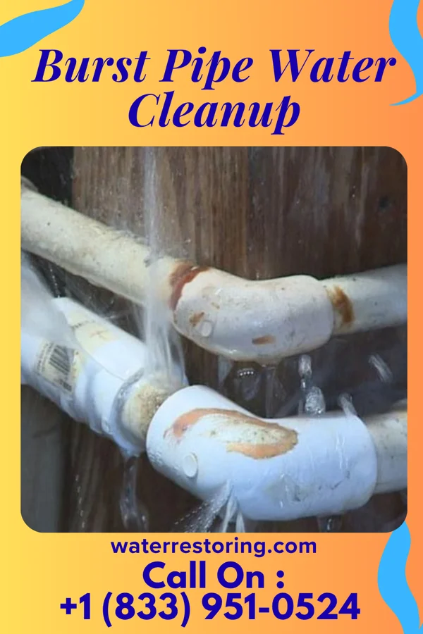 Burst Pipe Water Cleanup in Ontario, WI