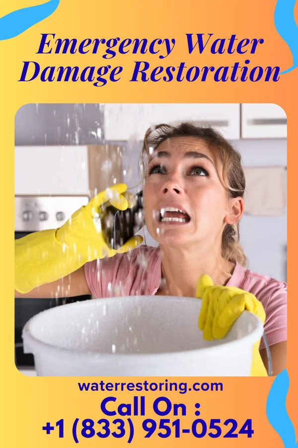 Emergency Water Damage Restoration in Ontario, WI