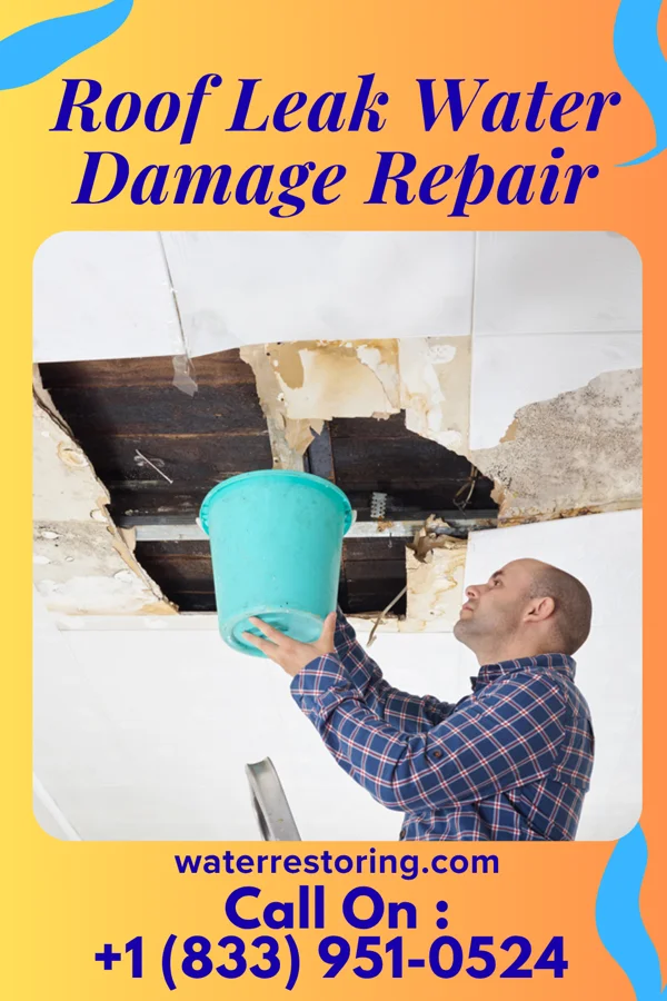 Roof Leak Water Damage Repair in Ontario, WI